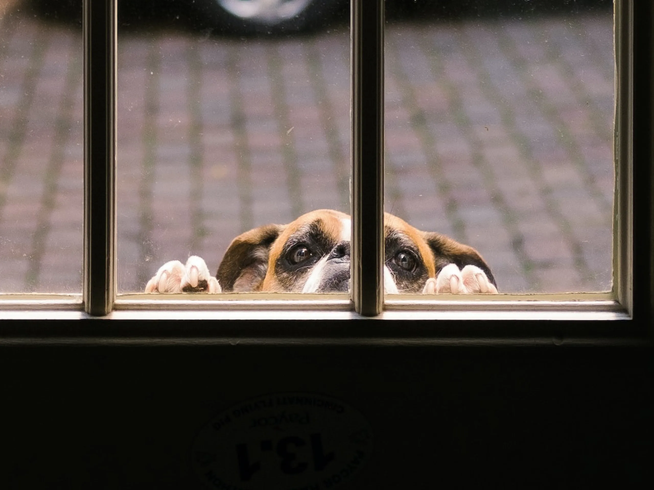 What does deductible mean in pet insurance?